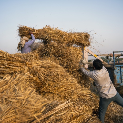 Reuters: Η Τουρκία αγόρασε κλεμμένα σιτηρά από την Ρωσία