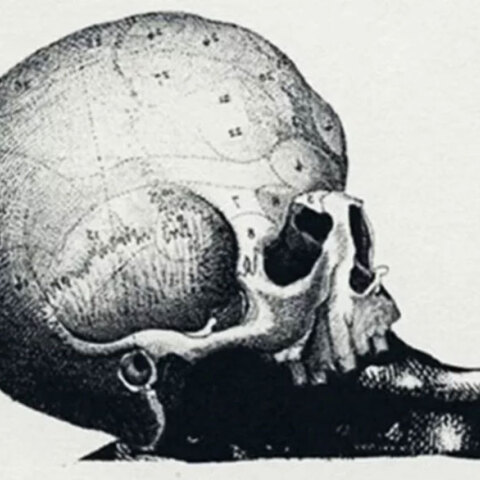 Οπτική ψευδαίσθηση βάζει δύσκολα στους χρήστες στα social