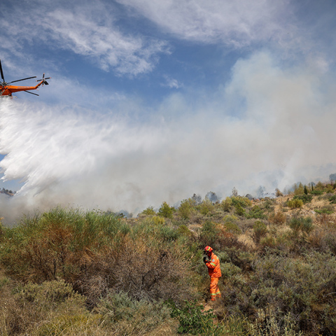 Φωτιά τώρα στη Μεσσηνία