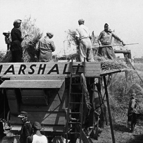 Photo by Universal History Archive/Getty Images