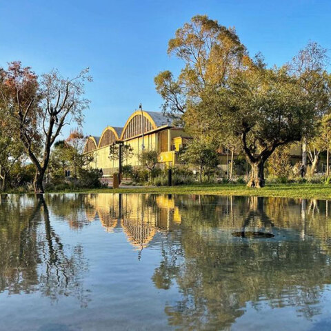 Στο Experience Park του Ελληνικού το πρώτο Φεστιβάλ Νέου Ευρωπαϊκού Μπάουχαους Ελλάδας