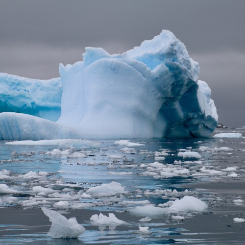 Ανταρκτική 