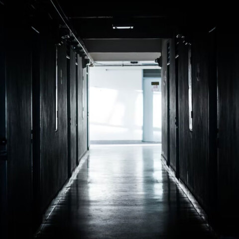 Η ευλογιά των πιθήκων εξαπλώνεται στην Ισπανία