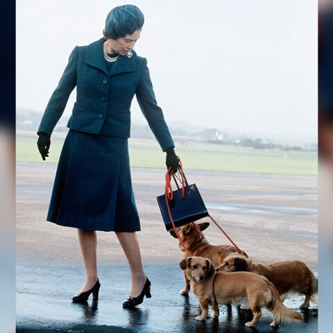 Η βασίλισσα Ελισάβετ φτάνει στο αεροδρόμιο του Aberdeen της Σκωτίας, μαζί με τα corgi σκυλάκια της, για τις διακοπές της στο Balmoral, 1974