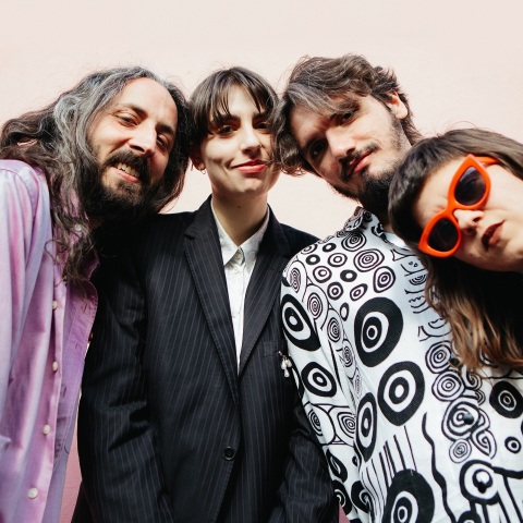 Το συγκρότημα Zimbru