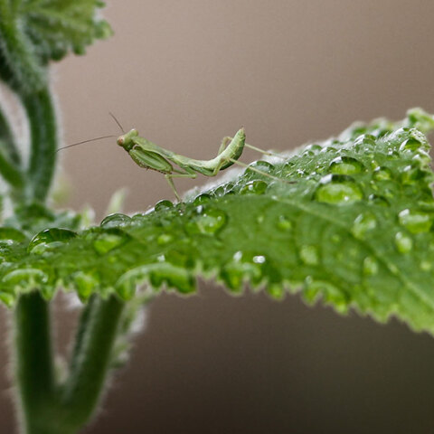 Λιγότερες βροχές έχει ο καιρός αύριο Κυριακή (12/6)