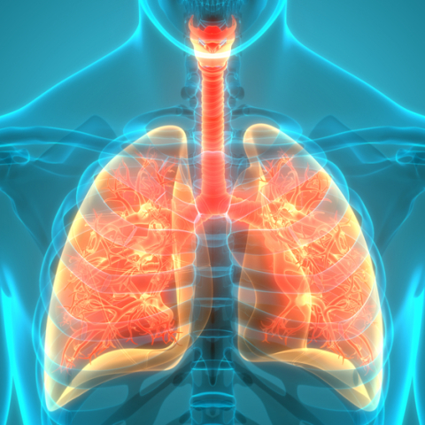 Κυστική Ίνωση: Σημαντικές εξελίξεις στη θεραπεία 