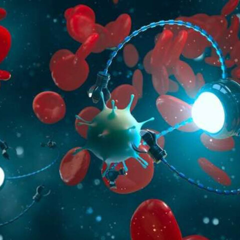 Μικρό ρομπότ στο ανθρώπινο σώμα θα χορηγούν φάρμακα σε συγκεκριμένα σημεία