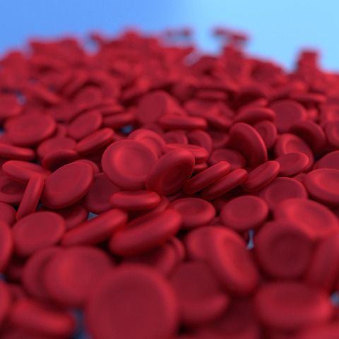 Καμπάνια για τη μεσογειακή αναιμία και την εθελοντική αιμοδοσία 