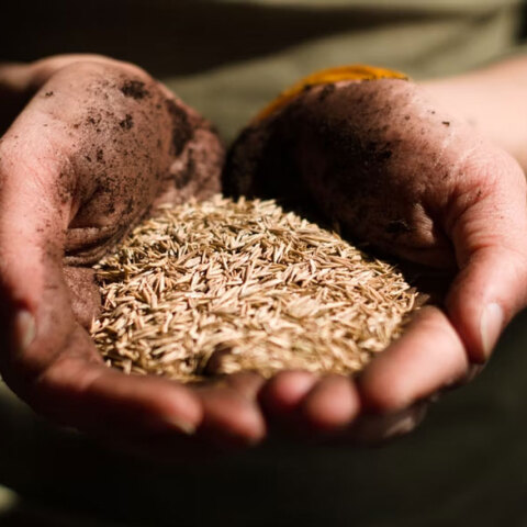 Ο πόλεμος στην Ουκρανία πυροδοτεί παγκόσμια επισιτιστική κρίση