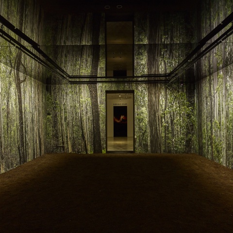 Εγκατάσταση που απεικονίζει δάσος