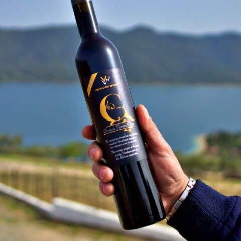  Στο Οινοποιείο Βρυνιώτη πίνοντας τα υπέροχα κρασιά του