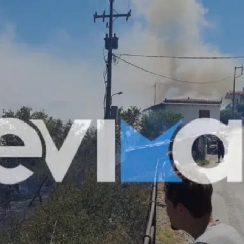 Φωτιά στον Κρεμαστό Εύβοιας
