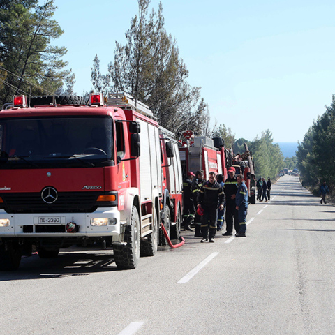 Φωτιά τώρα στην Κασσάνδρα Χαλκιδικής