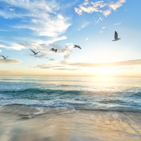 Καλοκαίρι - Παραλία