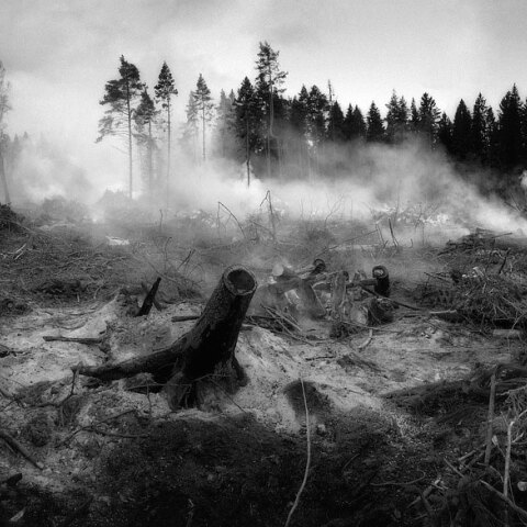 Δασικές πυρκαγιές στη Μεσόγειο μπορούν να εξελιχθούν σε megafires λόγω κλιματικής αλλαγής