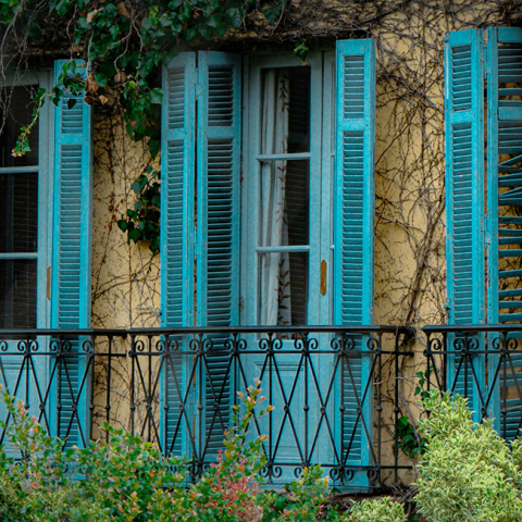 Φυτά σε μπαλκόνι. 