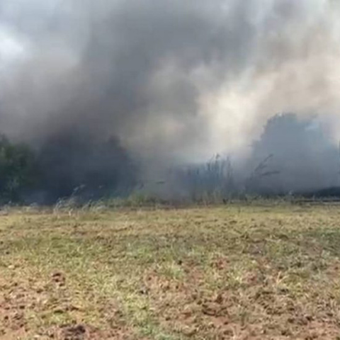 Φωτιά σε δασική έκταση στον Βόλο