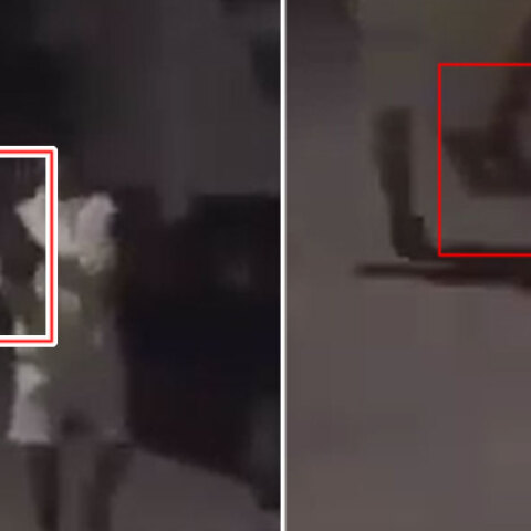 Ο 14χρονος που κακοποίησε γάτα στην Κομοτηνή