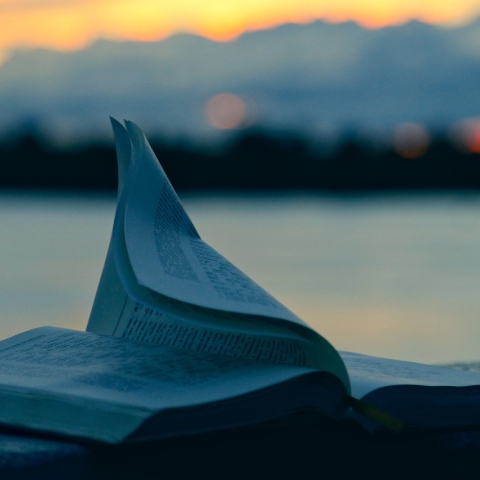 Τα ιδανικά βιβλία των διακοπών