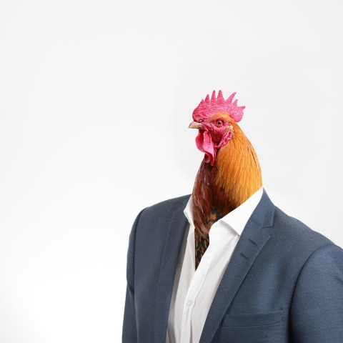 Ανδρικό σώμα με κεφάλι κόκκορα