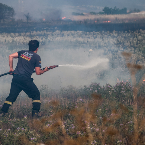 pyrosvestis floges pyrkagia