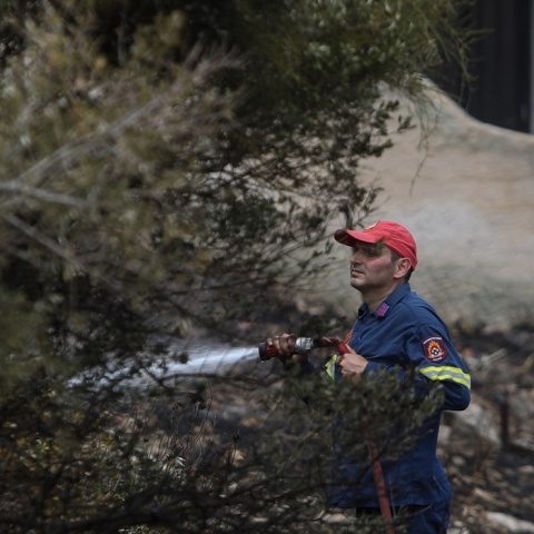 Φωτιά τώρα: Πυροσβέστης επιχειρεί με μάνικα
