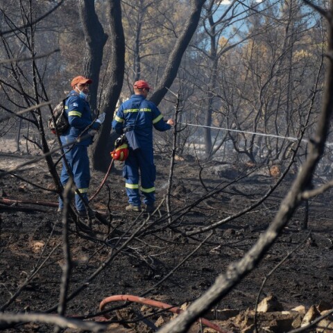 Φωτιά στη Ζήρια: Οι πρώτες εικόνες από τα καμμένα (εικόνες)