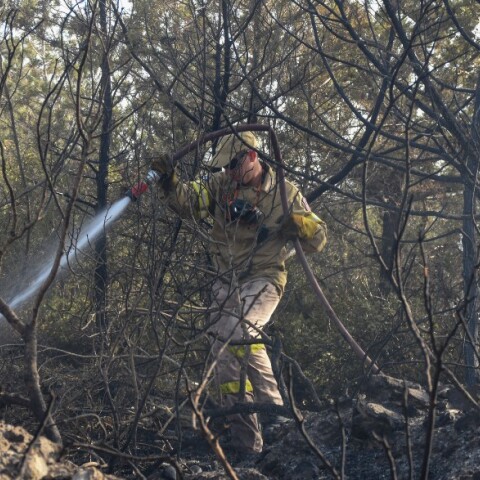 Φωτιά στη Ζήρια: Οι πρώτες εικόνες από τα καμμένα (εικόνες)