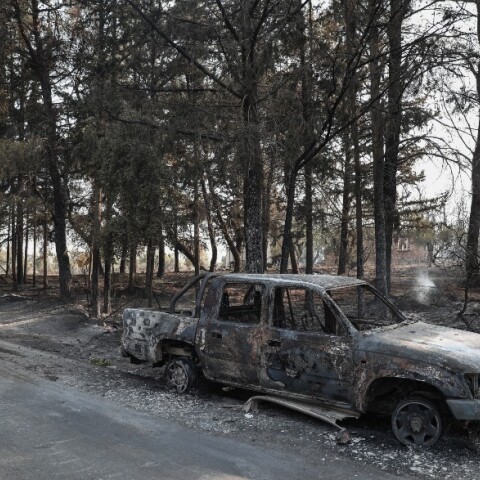 Φωτιά στη Βαρυμπόμπη: Η επόμενη ημέρα (εικόνες)