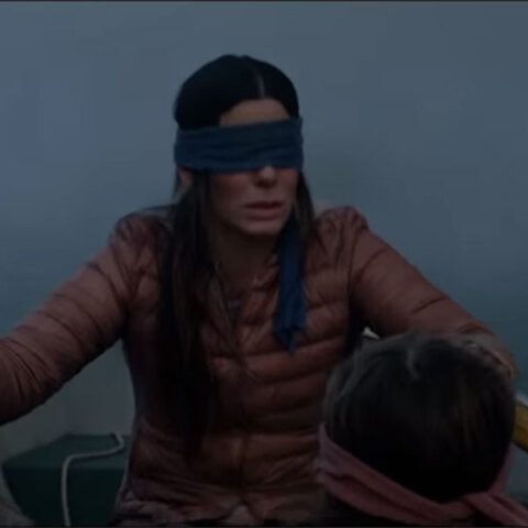 birdbox.jpg