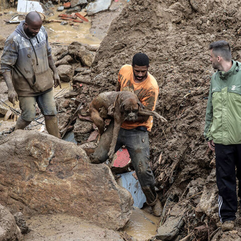 Πλημμύρες στη Βραζιλία: Διασώστης απομακρύνει σκύλο στην πόλη Πετρόπολις