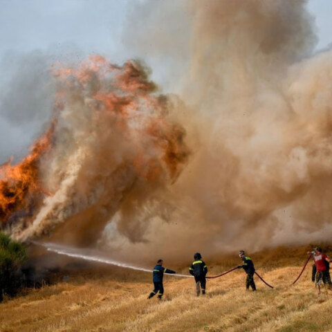 Πυροσβέστες και εθελοντές μάχονται φωτιά στην Αττική - Στο πειθαρχικό η δικηγόρος που έκανε την ανάρτηση για Εκάλη και Καστρί