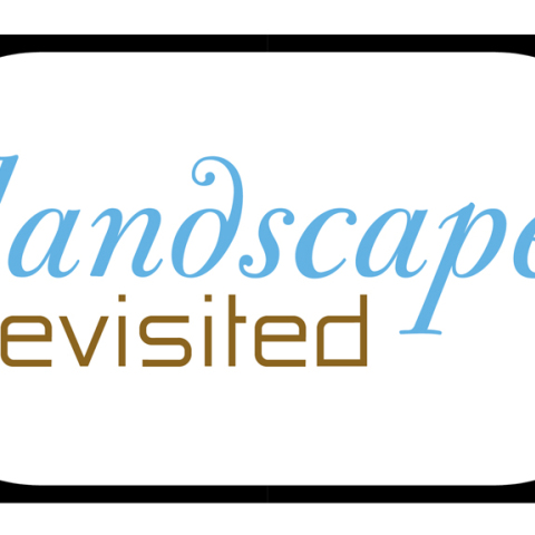 Landscape revisited