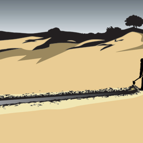 Αλέξανδρος Ψυχούλης, Μία καλλιεργήσιμη έκσταση