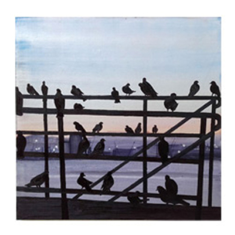 Highlights 2017 - '18