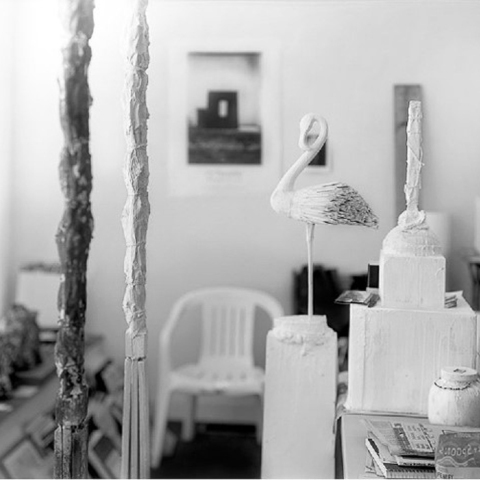 Sally Mann, Remembered Light