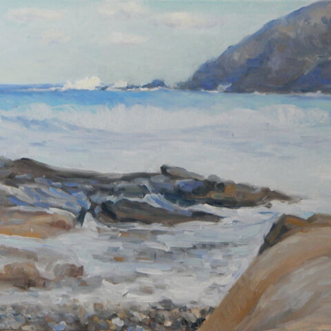 Βασίλης Τσοκόπουλος, Το νησί