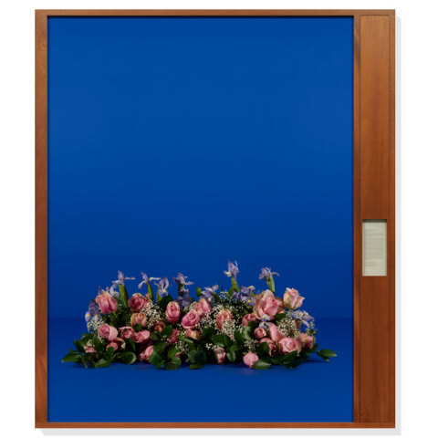 Taryn Simon, Paperwork and the Will of Capital