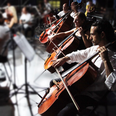 ​Μουσικές οικογένειες - Έγχορδα