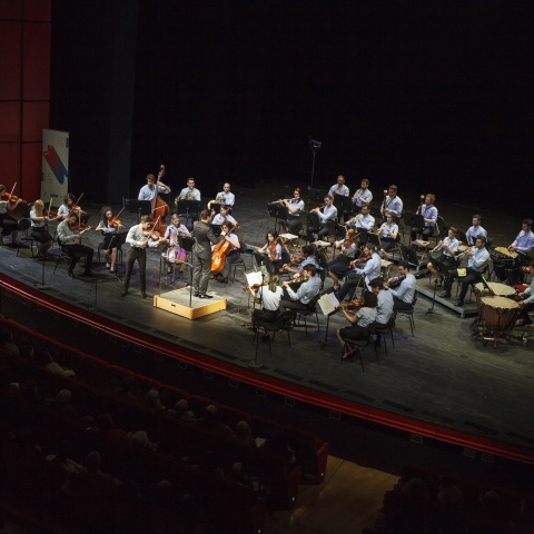 Ελληνική Συμφωνική Ορχήστρα Νέων