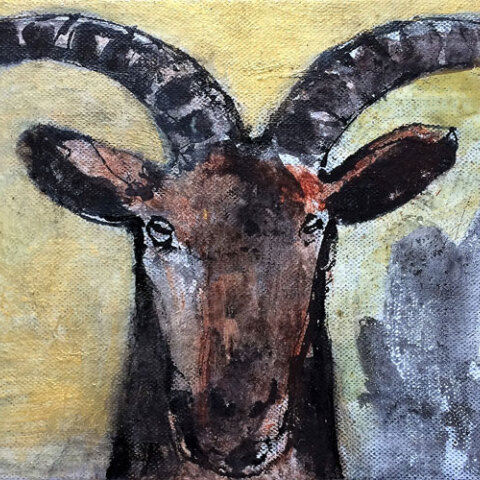 Πάβλος Χαμπίδης, Τραγιά