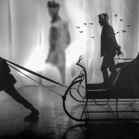 Βασίλης Κολτούκης, Μια χώρα για όλα τα μάτια