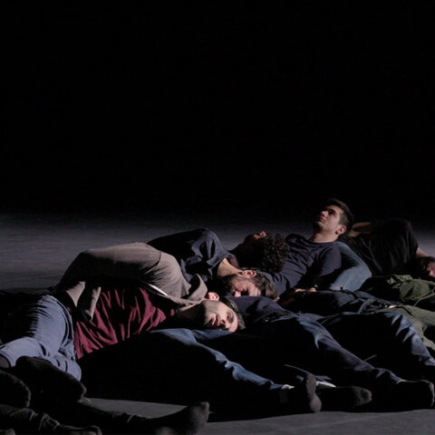 Hikaru Fujii, The primary fact