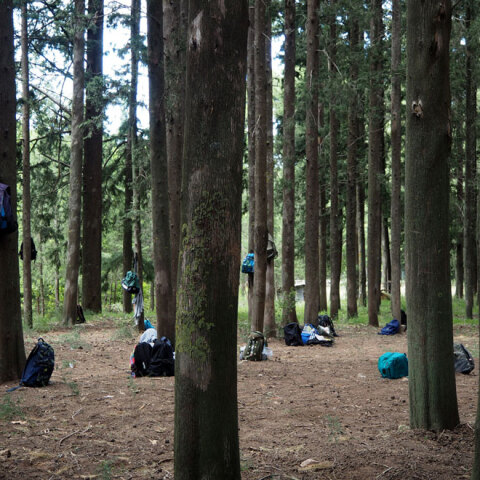 Η Ακρόπολη στο Βυθό
