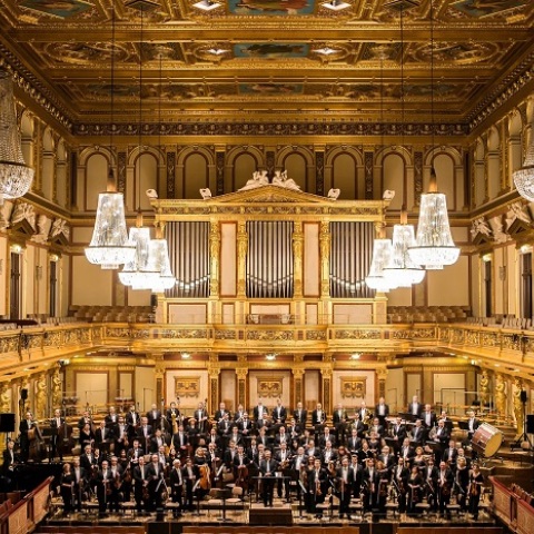 Tchaikovsky Symphony Orchestra