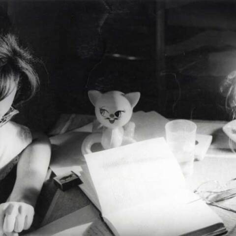 Δωμάτια μνήμης. Περιπλάνηση στον κόσμο της Λούλας Αναγνωστάκη