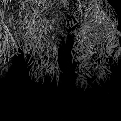 Έφη Χαλιoρή, Into The Dark