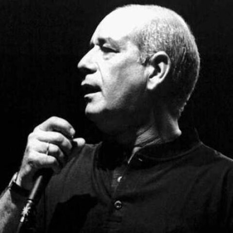 Δημήτρης Μητροπάνος