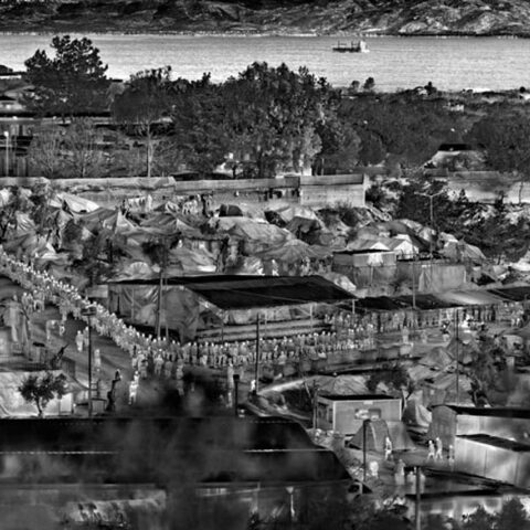 You refuse to understand / you don’t say anything / watching me die